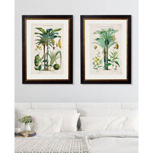 Load image into Gallery viewer, c.1877 Tropical Plants Used as Food and Clothing Framed Print
