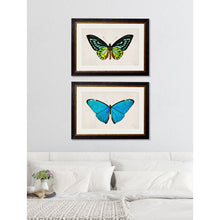 Load image into Gallery viewer, c.1836 Tropical Butterflies Framed Print
