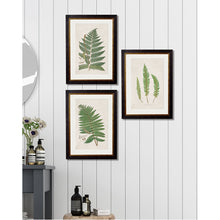 Load image into Gallery viewer, c.1831 Collection of Ferns Framed Print
