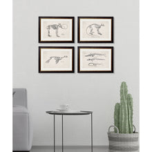 Load image into Gallery viewer, c.1870 Anatomical Skeletons Framed Print
