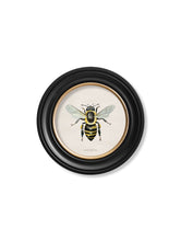 Load image into Gallery viewer, British Bees in a Round Frame Print
