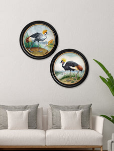 Audubon Style Cranes in Round Frame Prints