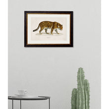 Load image into Gallery viewer, c.1836 Jaguar Framed Print
