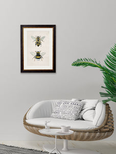 Honey and Bumble Bee Framed Print