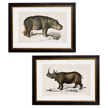 Load image into Gallery viewer, c.1846 Rhino &amp; Hippo Framed Print
