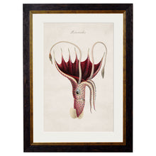 Load image into Gallery viewer, c.1876 Collection of Marine Animals Framed Print
