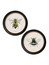 Load image into Gallery viewer, British Bees in a Round Frame Print
