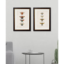 Load image into Gallery viewer, c.1892 Bees and Wasps Framed Print
