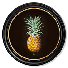 Load image into Gallery viewer, c.1812 Pineapple Study (Black) - Round Framed Print
