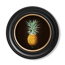 Load image into Gallery viewer, c.1812 Pineapple Study (Black) - Round Framed Print
