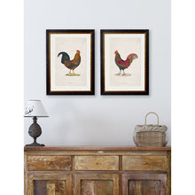 Load image into Gallery viewer, c.1838 Junglefowl Framed Print
