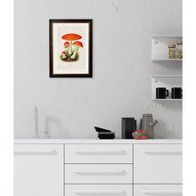 Load image into Gallery viewer, c.1913 Fly Agaric Framed Print

