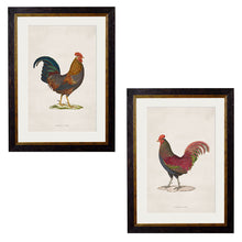 Load image into Gallery viewer, c.1838 Junglefowl Framed Print
