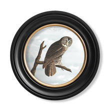 Load image into Gallery viewer, c.1838 Audubon&#39;s Owls - Round Framed Print
