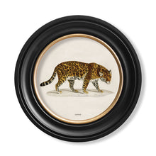 Load image into Gallery viewer, c.1836 Jaguar - Round Framed Print
