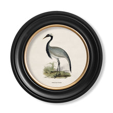 Load image into Gallery viewer, c.1870 Wading Birds in Round Framed Print
