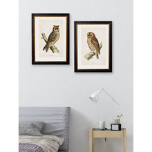 Load image into Gallery viewer, c.1870 British Owls Framed Print
