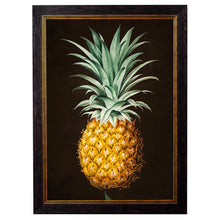 Load image into Gallery viewer, c.1812 Pineapple Study (Black) Framed Print
