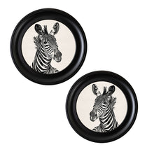 Load image into Gallery viewer, c1890 Zebra Illustrations in Round Framed Print
