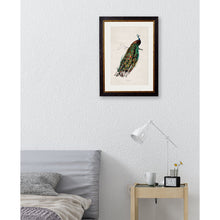 Load image into Gallery viewer, c.1847 Peacock Framed Print
