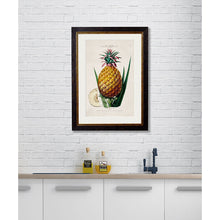 Load image into Gallery viewer, c.1843 Pineapple Plant Framed Print
