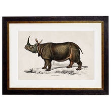 Load image into Gallery viewer, c.1846 Rhino &amp; Hippo Framed Print
