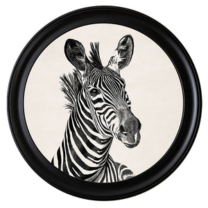 c1890 Zebra Illustrations in Round Framed Print