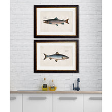 Load image into Gallery viewer, c.1785 Studies of Salmon Framed Print
