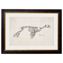 Load image into Gallery viewer, c.1870 Anatomical Skeletons Framed Print
